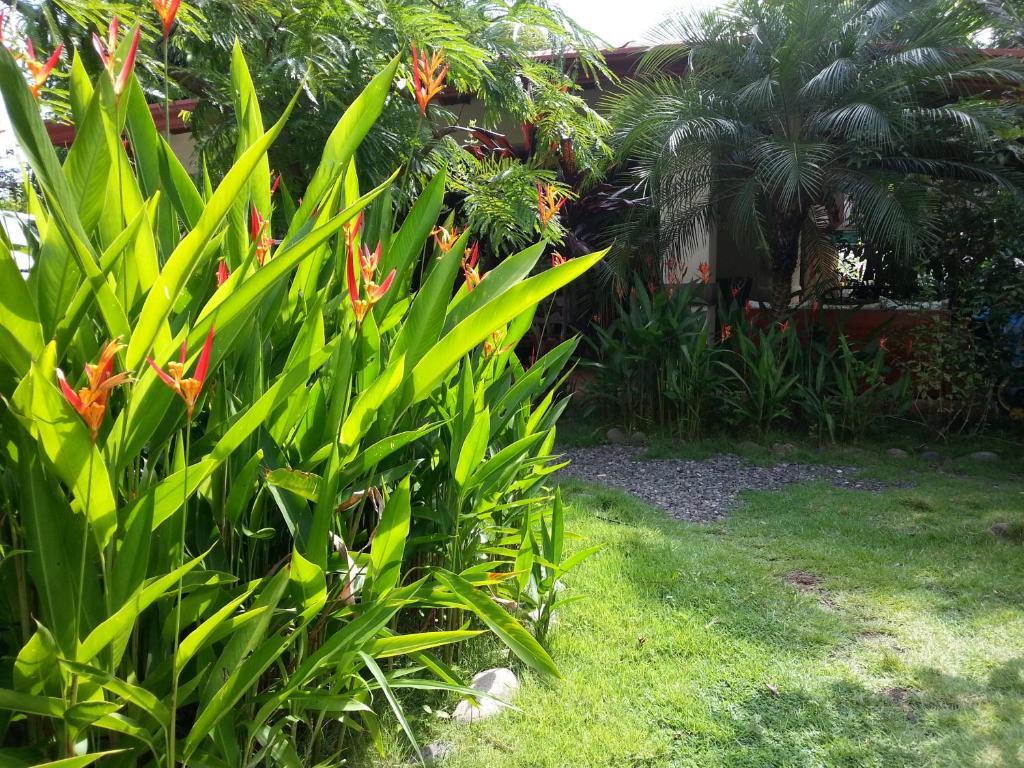 Hotel Green Jaco Ngoại thất bức ảnh